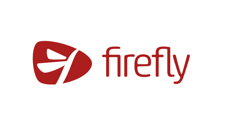 AWS Firefly Learning UK Logo horizontal f713377057ba2e1e3fe8e35cb8cdb13f6e6cc99c