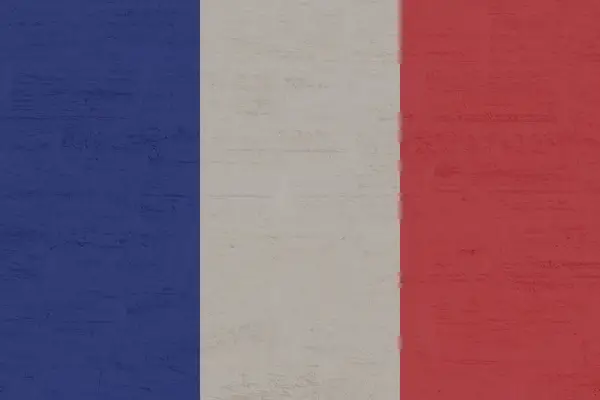 French flag 2695008