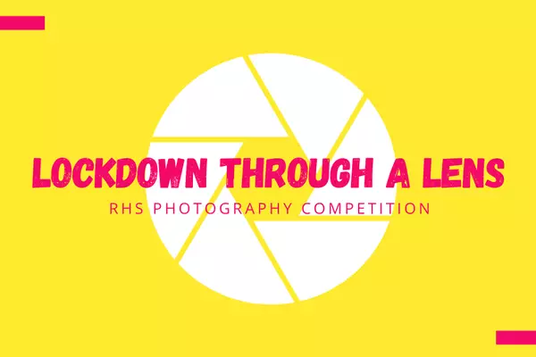 RHS Lockdown through a Lens