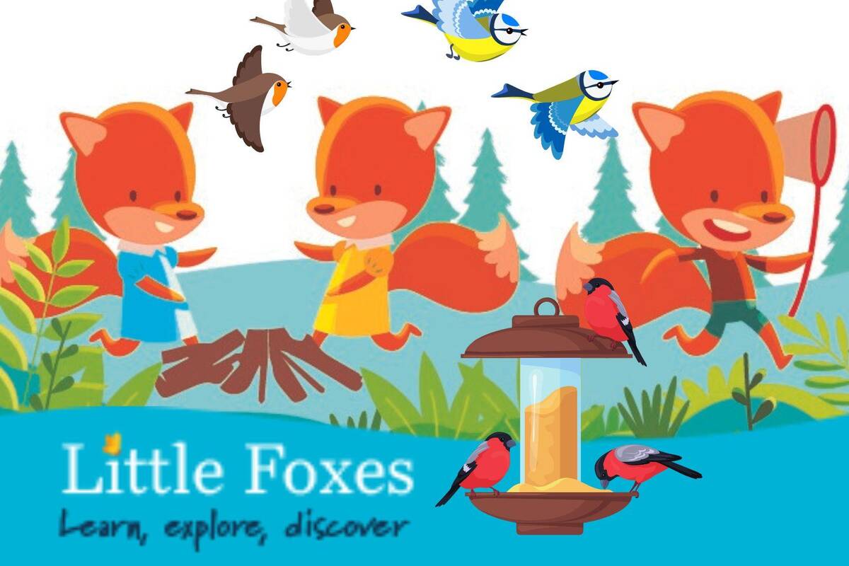 Little Foxes birds 1700 1250px