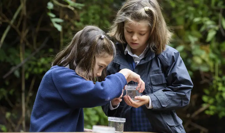 Prep outdoor play