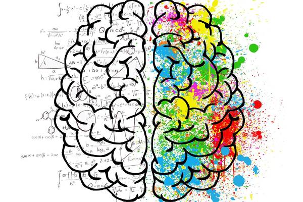 Brain 2062057 1920