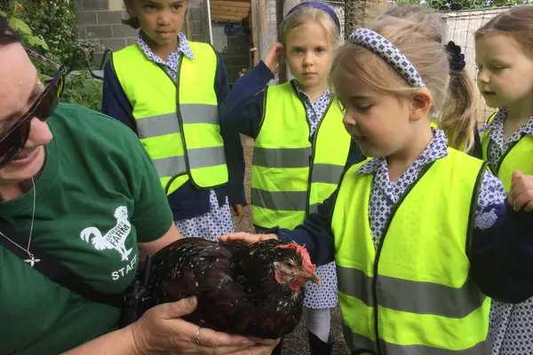 Bath city farm