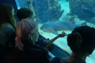 Aquarium 2
