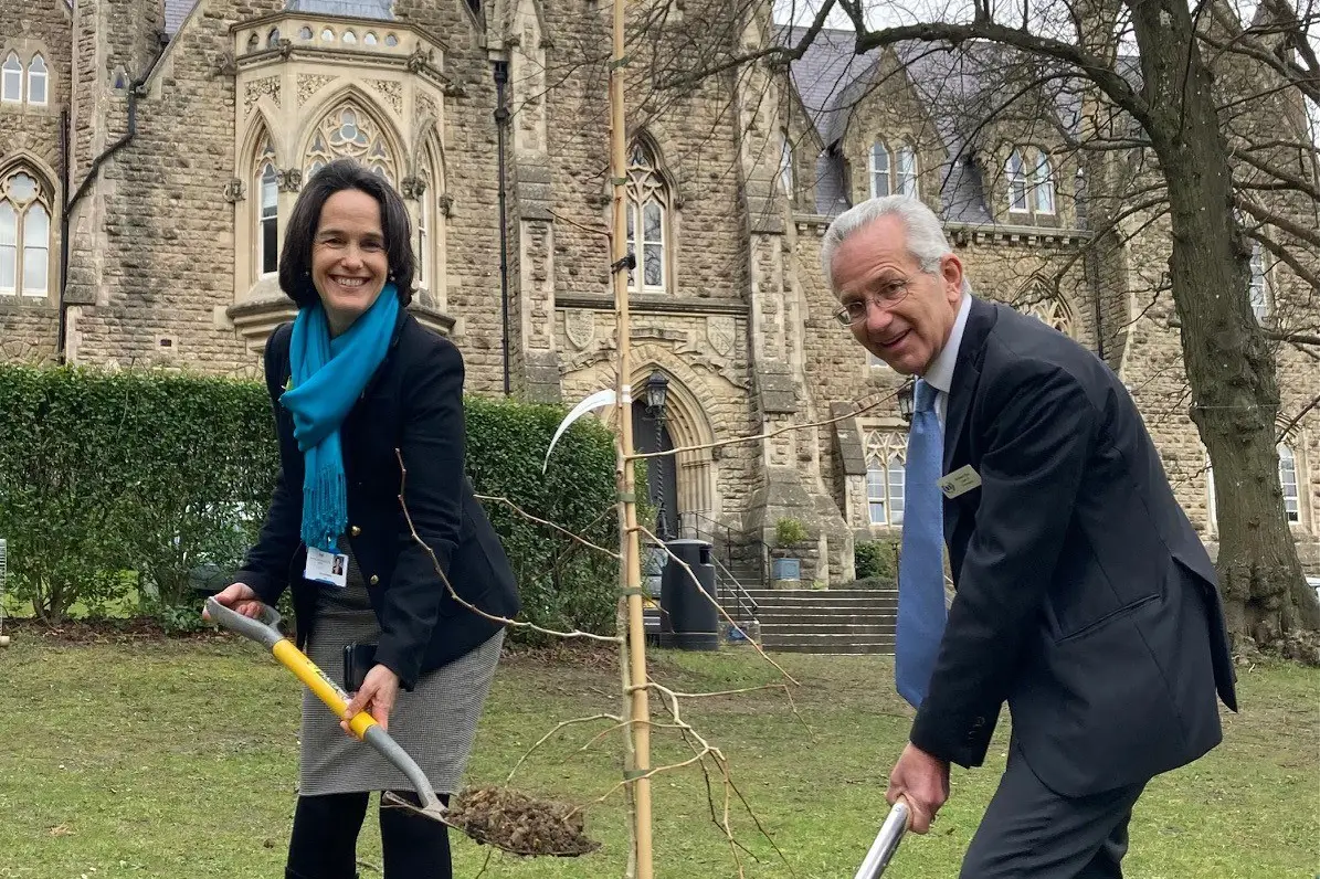 Senior School Tree Planting