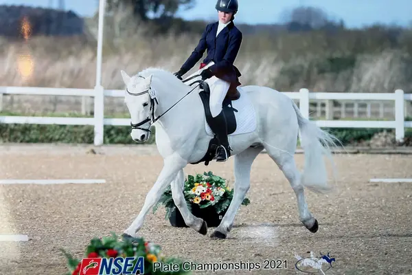 Cesca and Boo NSEA Dressage Plate Champs 04 12 21